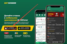 Discover the Excitement of Online Betting with Betwinner